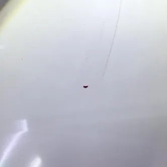 华威绿色出产3